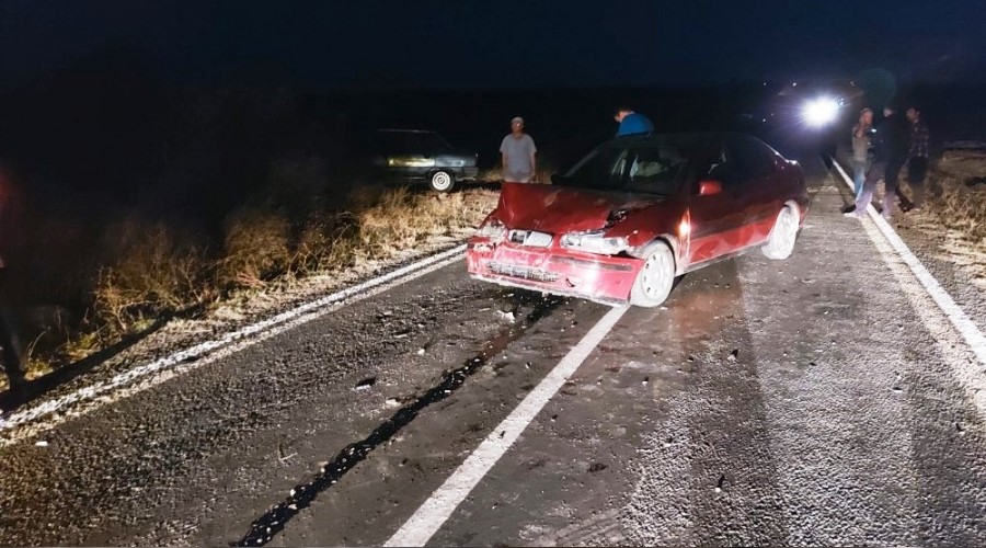 Tekirdağ'da otomobil koyun sürüsüne daldı