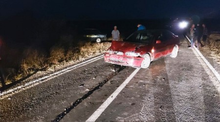 Tekirdağ'da otomobil koyun sürüsüne daldı