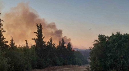 Tekirdağ'daki yangına helikopter desteği ile müdahale sürüyor