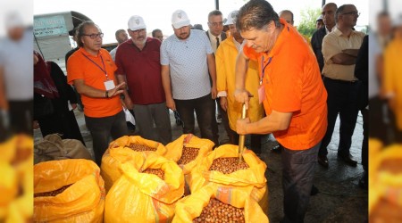 TMO fındık alımına başladı