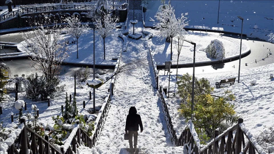 Trabzon'da ve Ardahan'da e�itime kar tatili