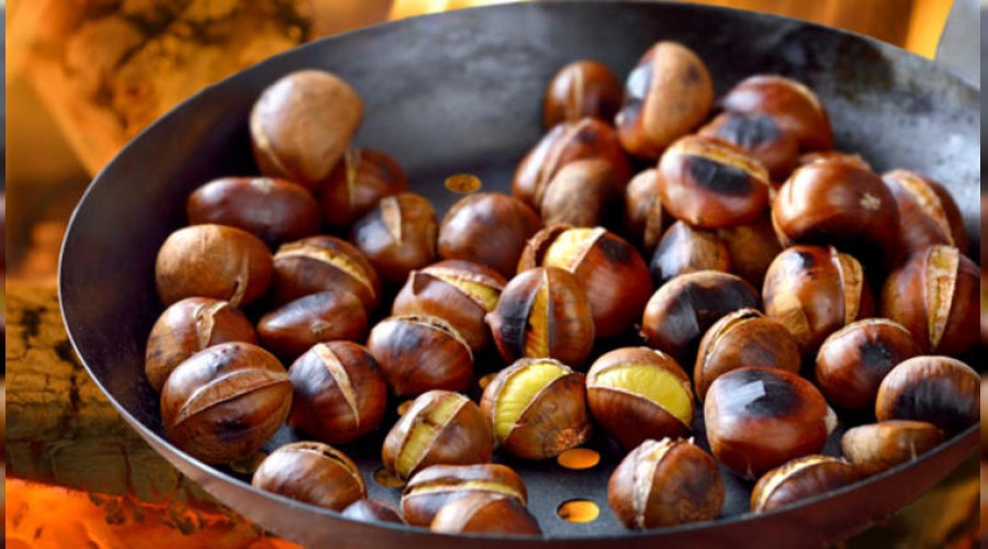 T�rk kestanesini �talyanlar �ok sevdi
