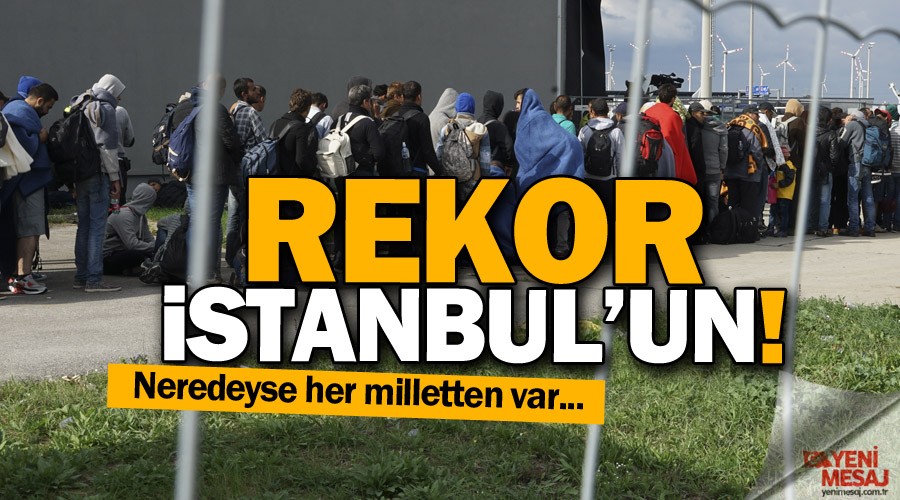 T�rkiye bir y�lda 577 bin g�� ald�