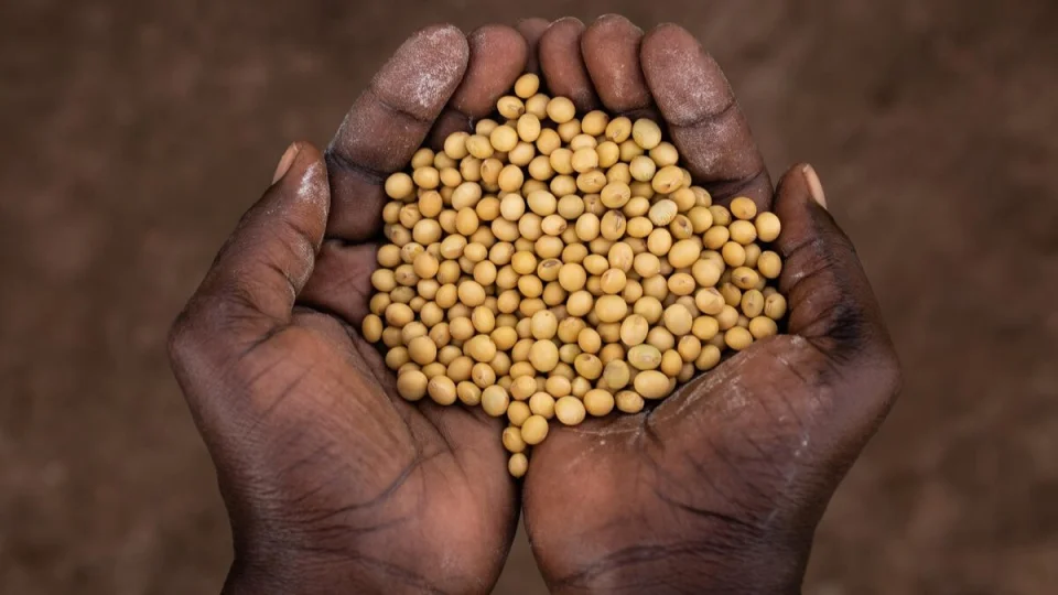 Uganda'da 3,6 milyon ki�i g�da sorunu ya��yor