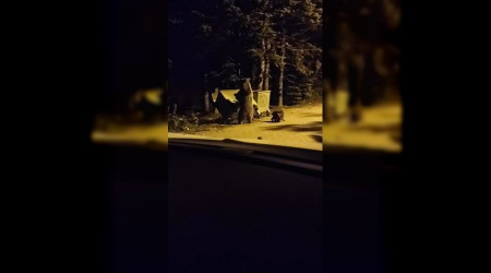 Uludağ'da turistin korku dolu anları