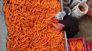 Üretici ile market arasındaki fiyat farkı vatandaşın belini büküyor