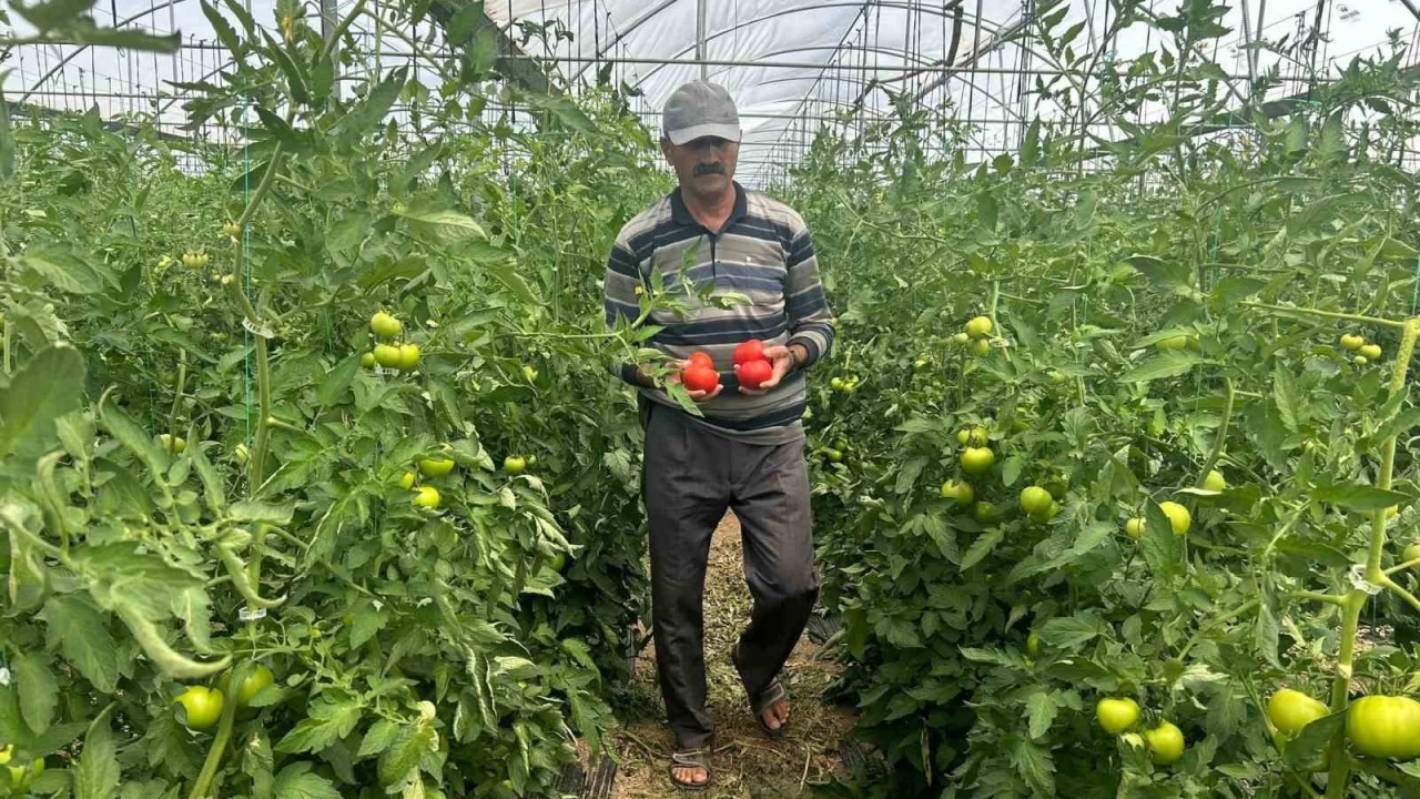 '�r�n�n y�zde 45'i vatanda��n eline ula�amadan israf oluyor'