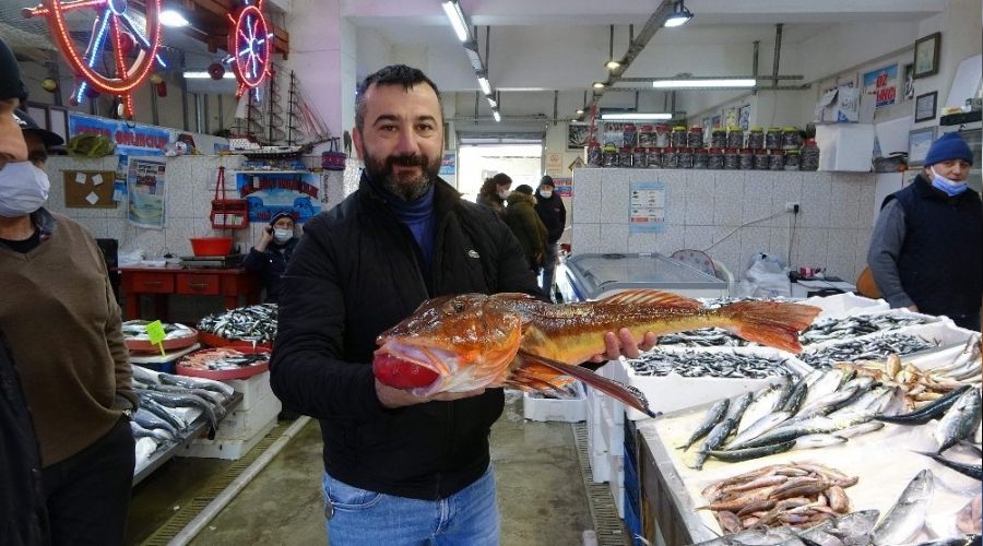 Uzun s�redir tezgahlarda g�r�lm�yordu