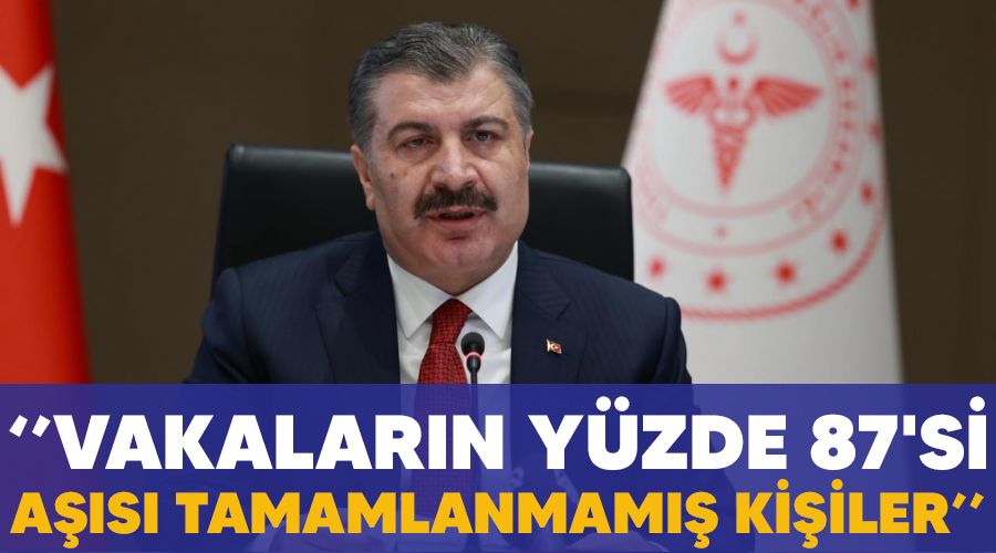 "Vakalar�n y�zde 87'si a��s� tamamlanmam�� ki�iler'