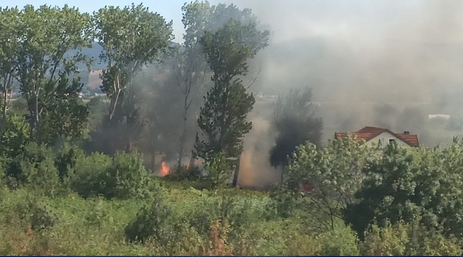 Yalova'da orman yang�n�