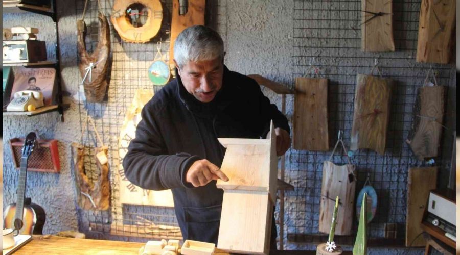 Yarım asırdır ağaçlara şekil veriyor