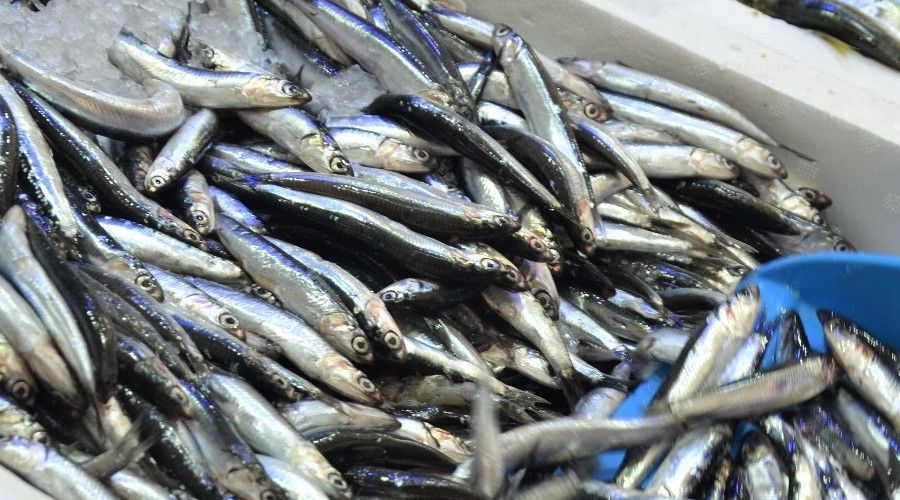 Yerli hamsi tezgahlarda