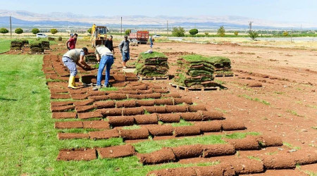 Yeşilyurt Belediyesi rulo çim üretiminde hedeflerinin üzerine çıktı