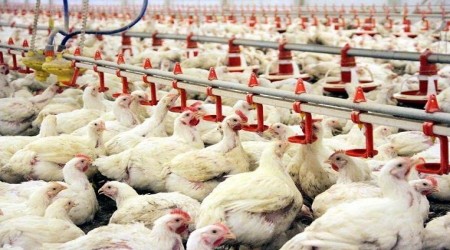Yüzde 200 zam tansiyonu yükseltti