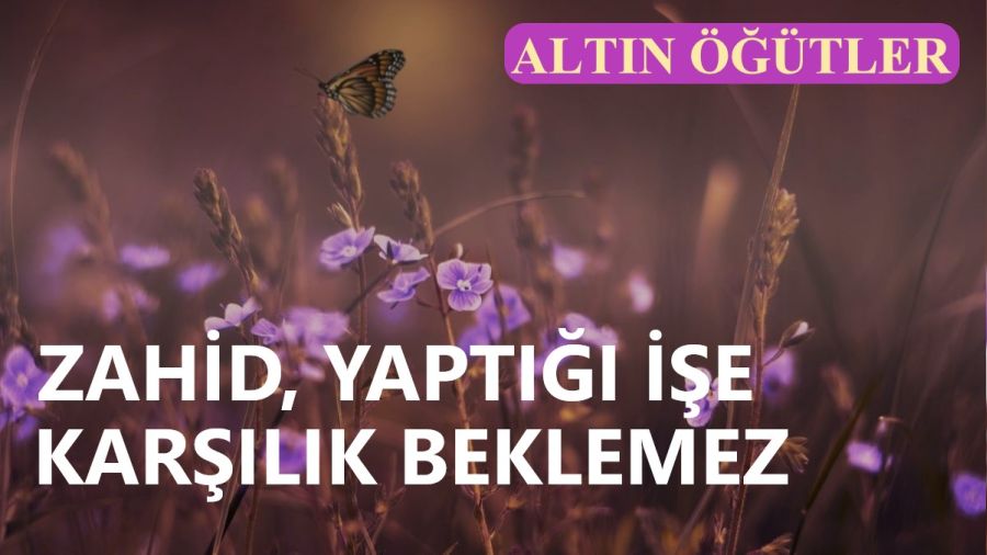 Zahid, yapt��� i�e kar��l�k beklemez