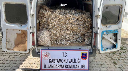 1,5 ton sarımsak çalan 3 hırsız kaçamadı