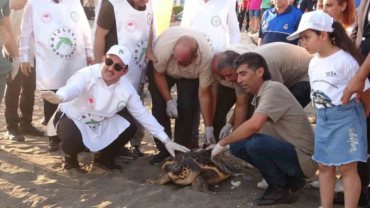 50 yaşındaki Caretta 2 yıllık tedaviden sonra denizle buluştu