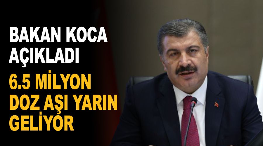 6.5 milyon doz aşı yarın geliyor