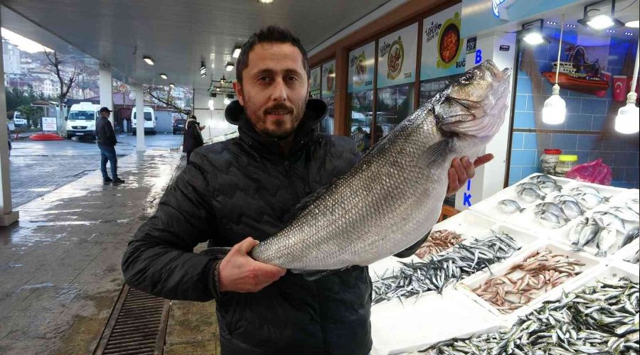 8 kiloluk levrek 2 bin liradan tezgahta