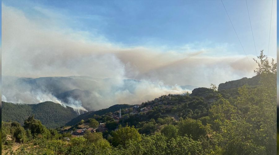  Akseki akci�erlerini kaybetti