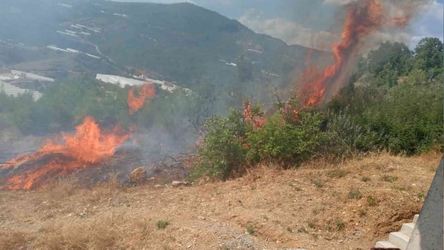 Alanya'daki yangında 10 dönüm tarım arazisi zarar gördü