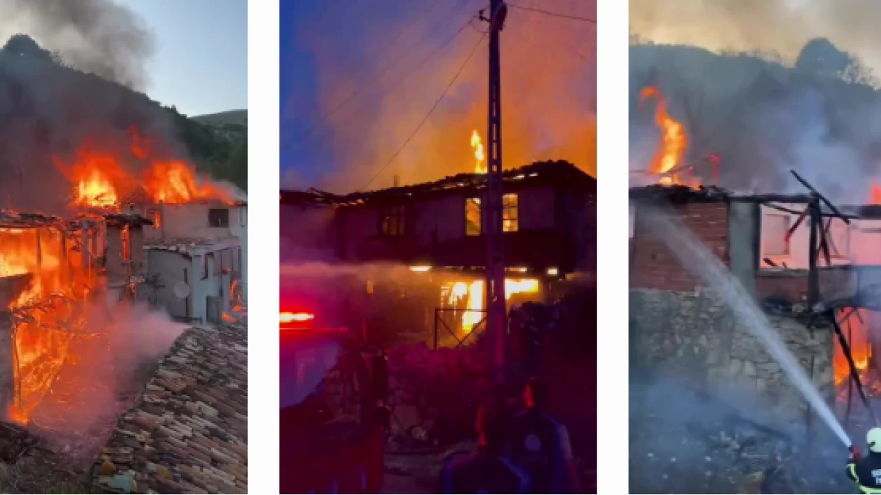 Amasya'da yangın