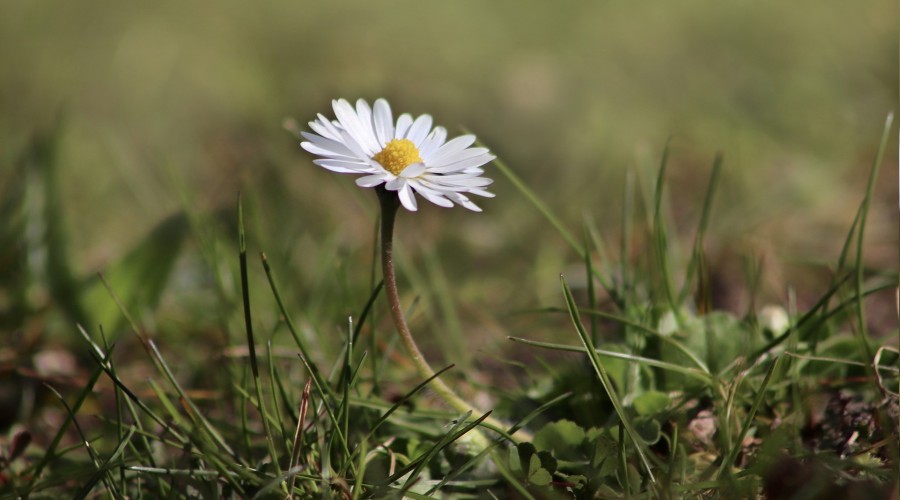 �Amel ehli �ok azd�r�