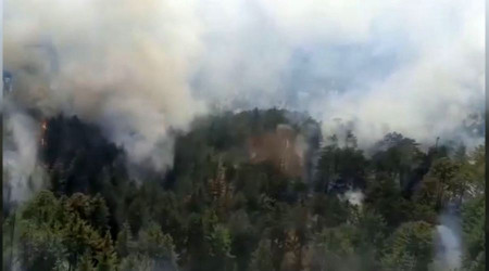 Antalya'da yine orman yangını başladı