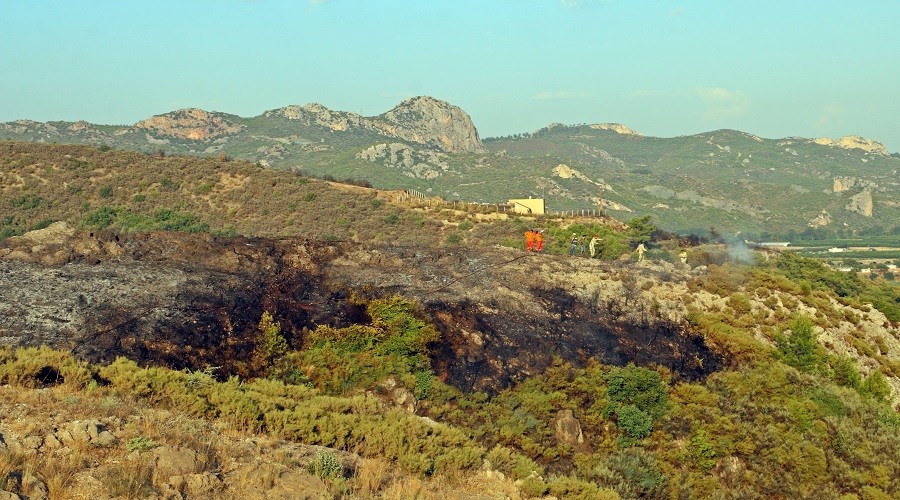  Antalya'nn Serik ilesinde orman yangn 