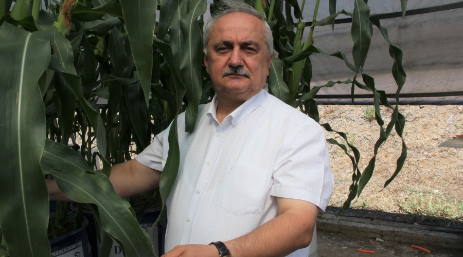  Ara� y�kamaya bir baraj su israf ediliyor