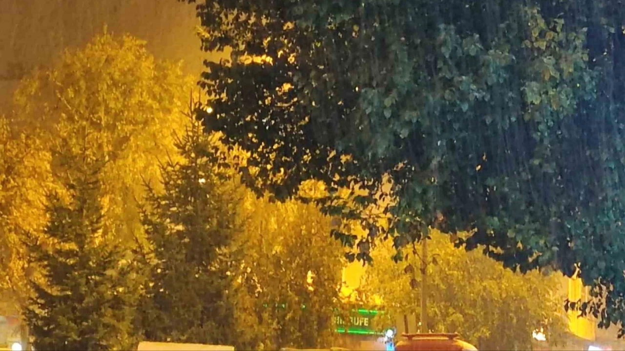 Ardahan kent merkezine mevsimin ilk kar yad