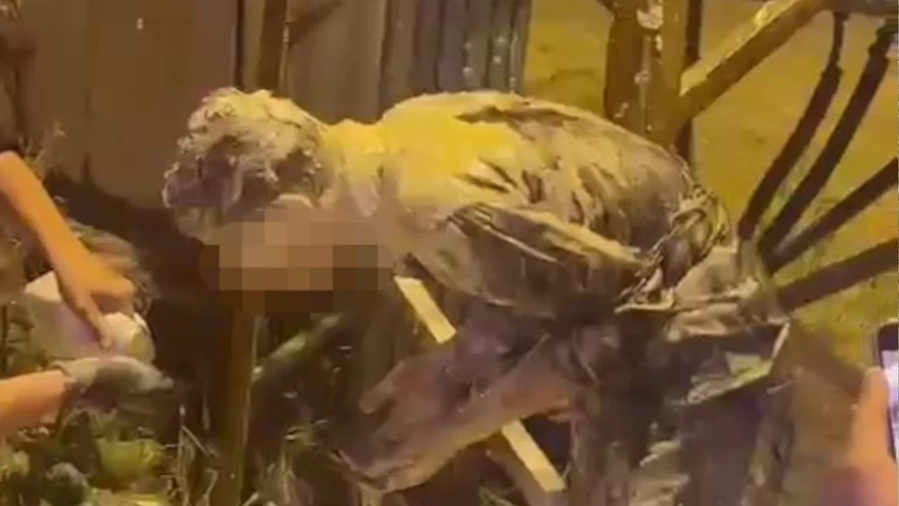 Arkada�lar�n�n do�um g�n� �akas� az kals�n k�r ediyordu