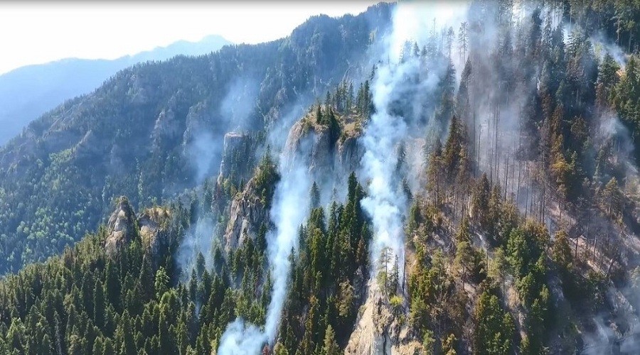 Artvin'deki yangın 8 gün sonra söndürüldü