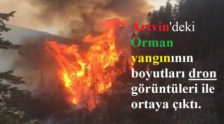 Artvin'deki yangının çıkış sebebi belli oldu