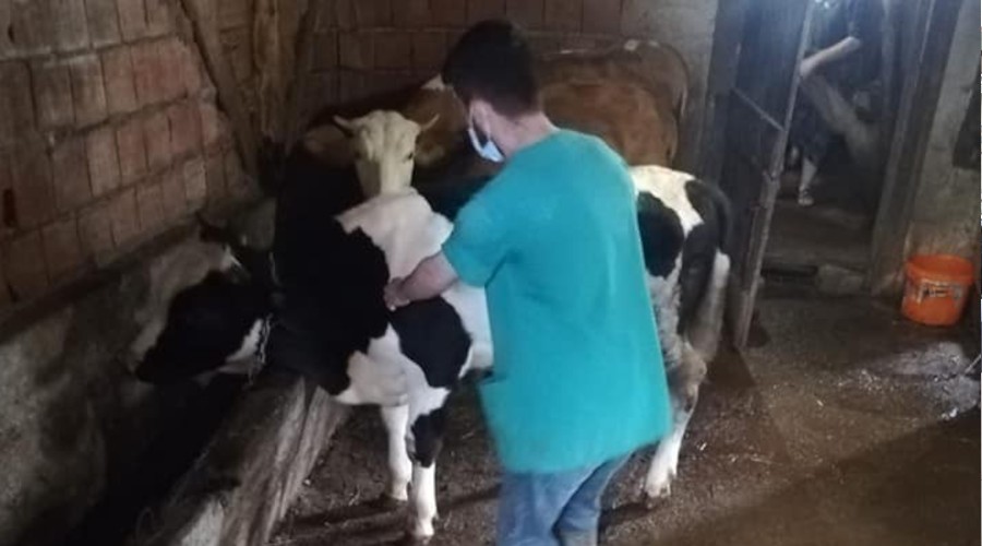 Aşılama kampanyası başladı