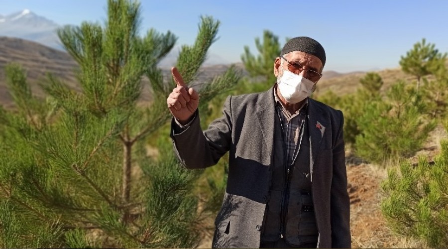 Babadan kalma arazisini ormana dönüştürdü