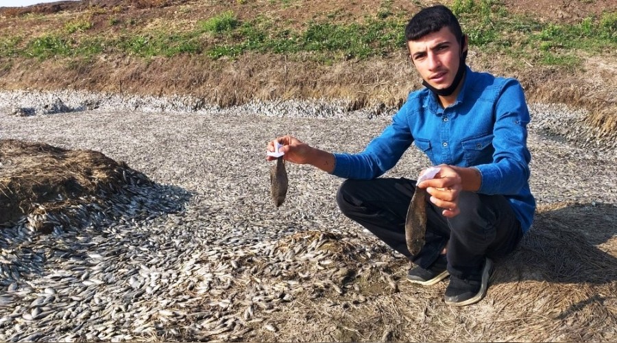 Baraj suyu ekildi, binlerce balk telef oldu