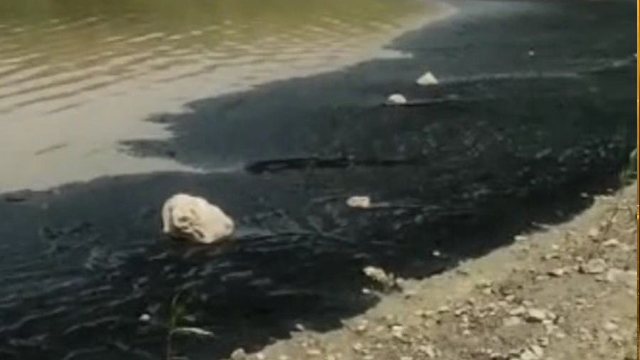 Barajdaki su y�zeyinin siyah renge b�r�nmesi vatanda�lar� tedirgin etti