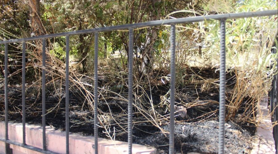 Başkent'te çakmakla yangın çıkartıldı