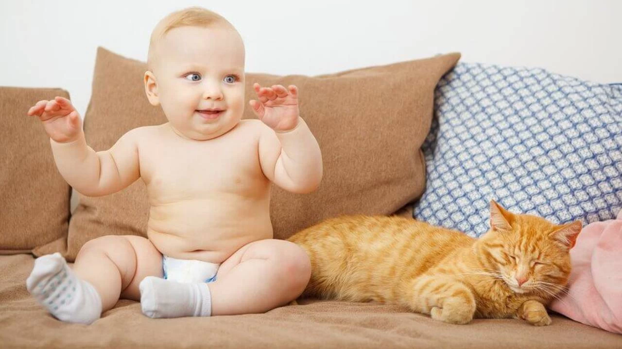 Bebekli evde evcil hayvan beslemek zararl m?