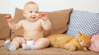 Bebekli evde evcil hayvan beslemek zararl m?