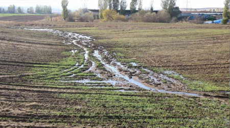 Besi çiftliğini jandarmaya şikayet etti