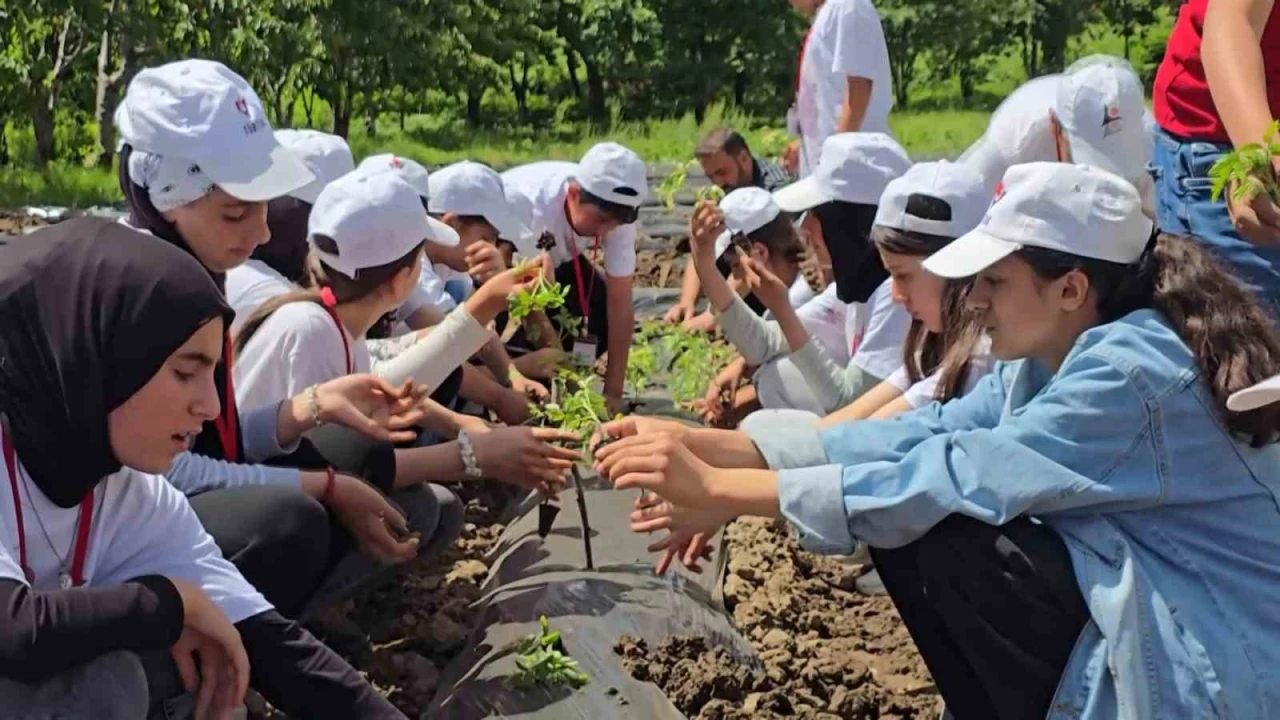 Bing�l'de T�B�TAK 4004 ba�ar�s�