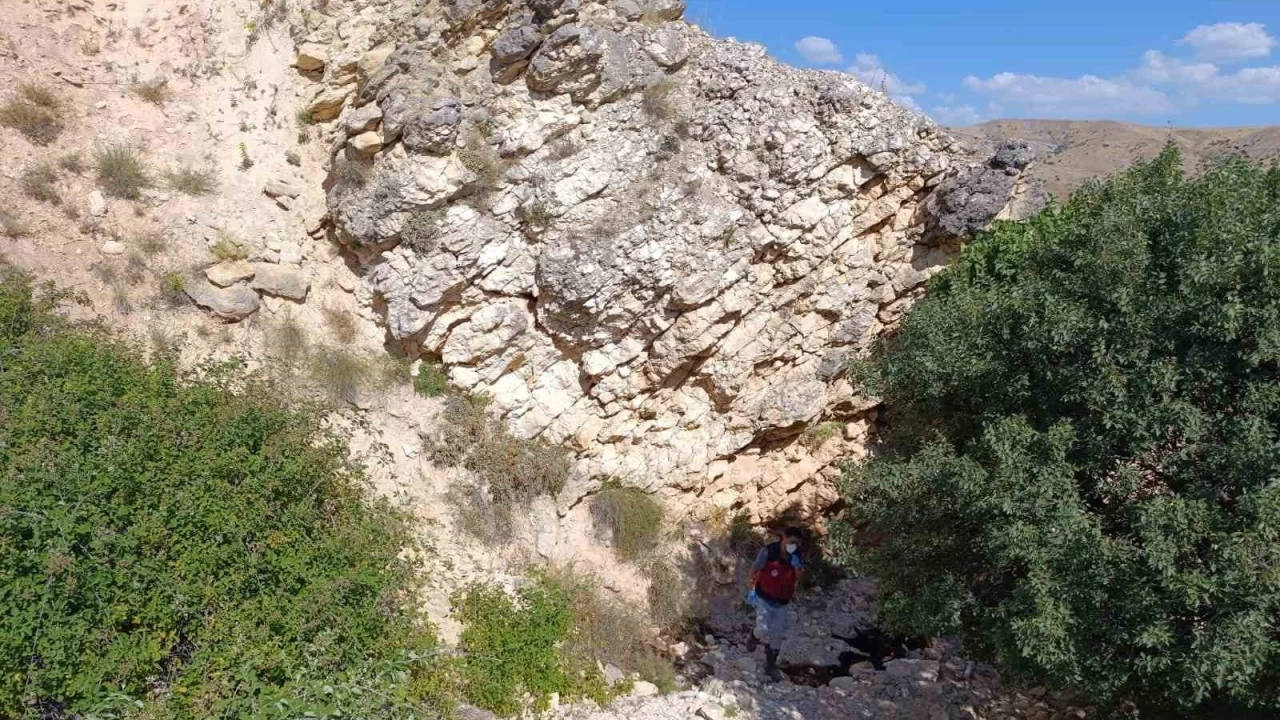 Biri u�urumdan atlay�nca di�erleri de pe�inden ko�tu