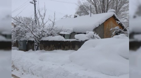 Bitlis'te evler karda kayboldu!