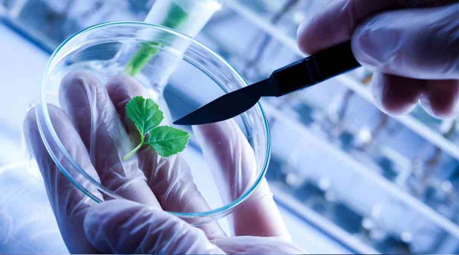 Biyoteknoloji faaliyeti y�r�ten giri�im say�s� artt�