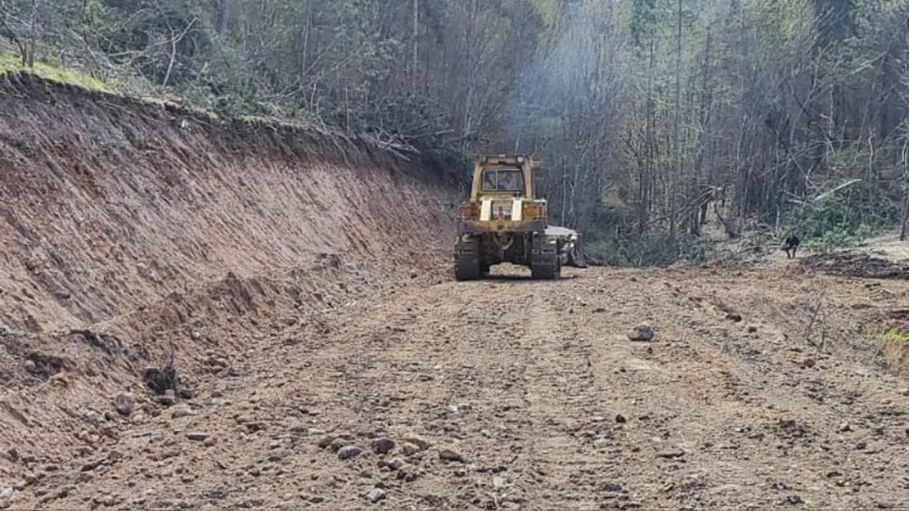 Bolu'da 12 kilometrelik orman yolu a��ld�