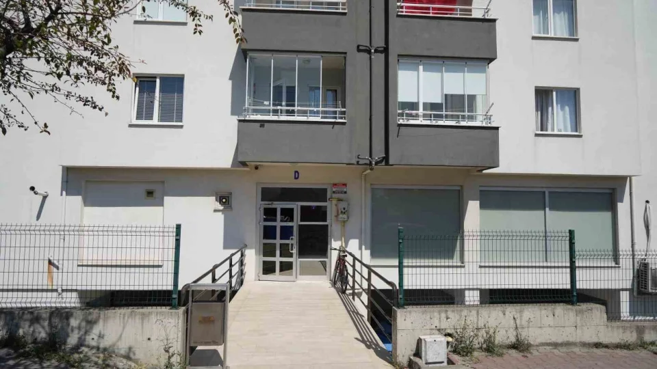 Bolu'da Belçika kurdu çocuğu kalçasından ısırdı