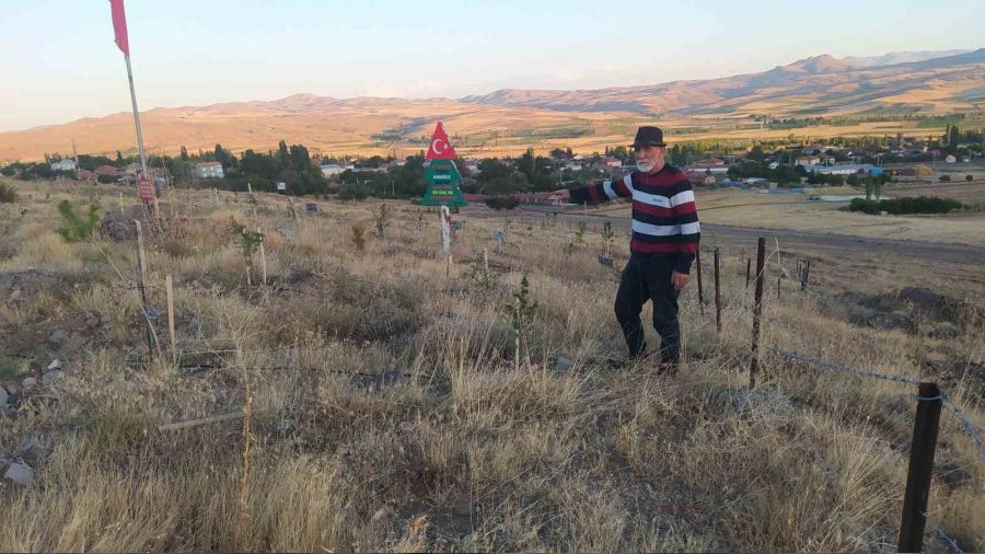Bozkırı yeşertmek için ter döküyor