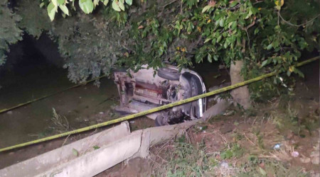 Bursa'da yola fırlayan domuza çarpan araç zeytinliğe uçtu: 2 ölü